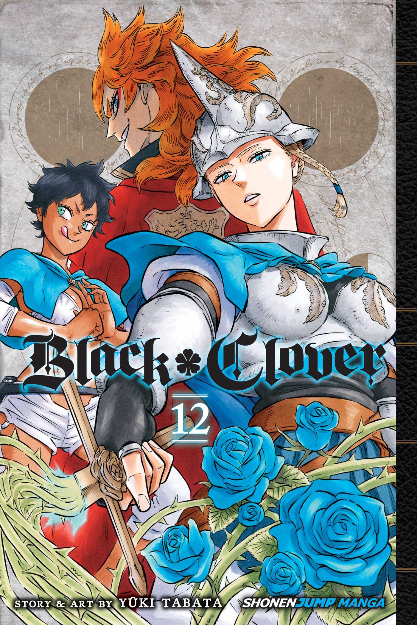 Black Clover Vol. 12 – Raygun Comics