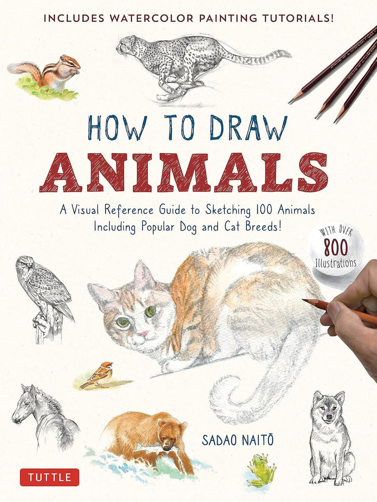 How To Draw Animals