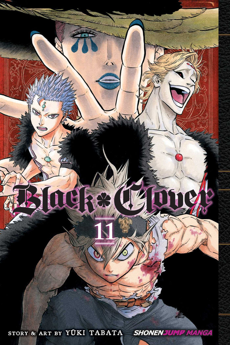 Black Clover Vol. 11